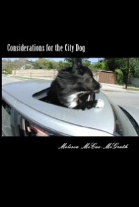 cropped-cover-for-leah